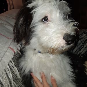 Meet your Posher, Leann